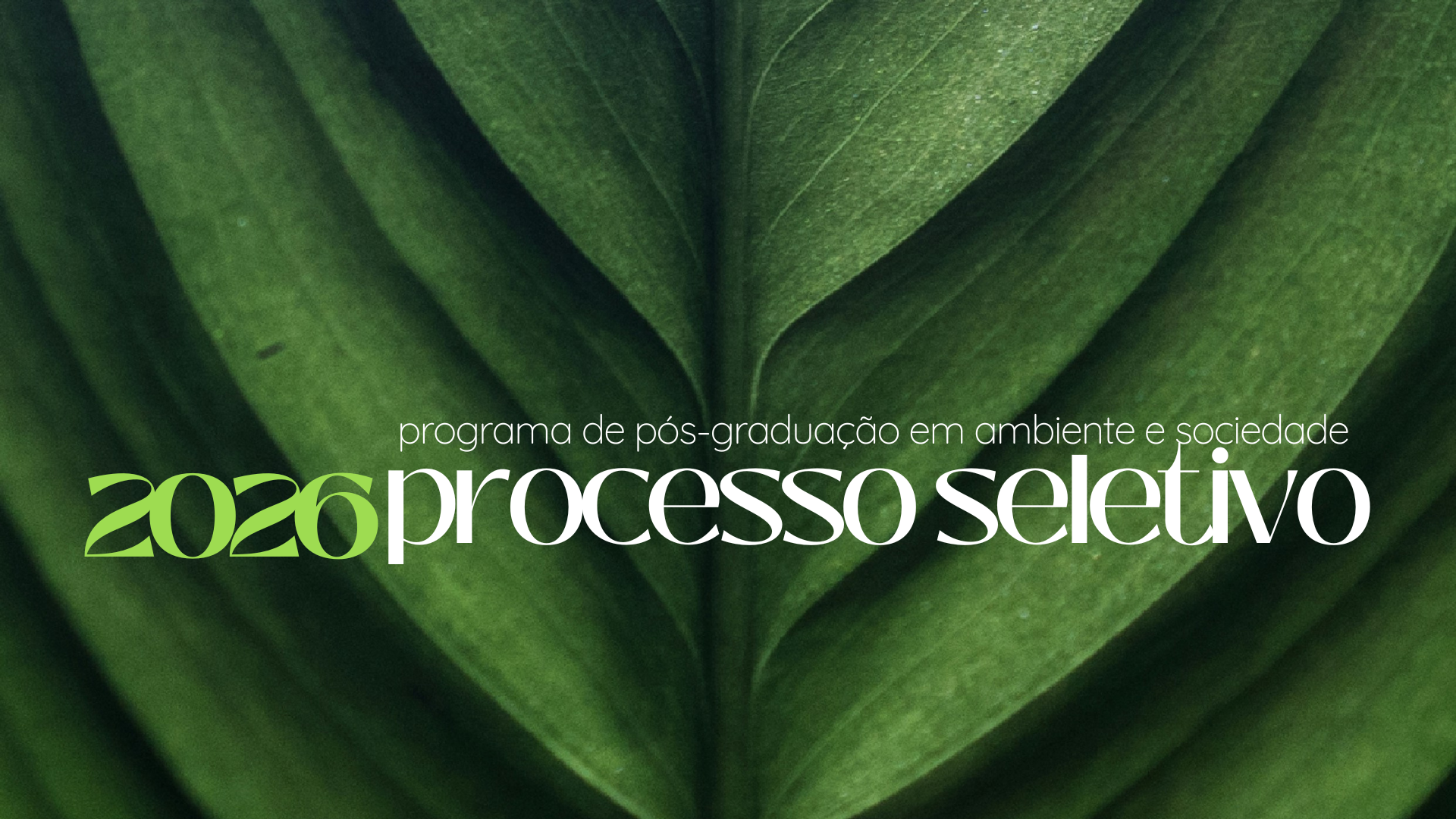 Processo Seletivo