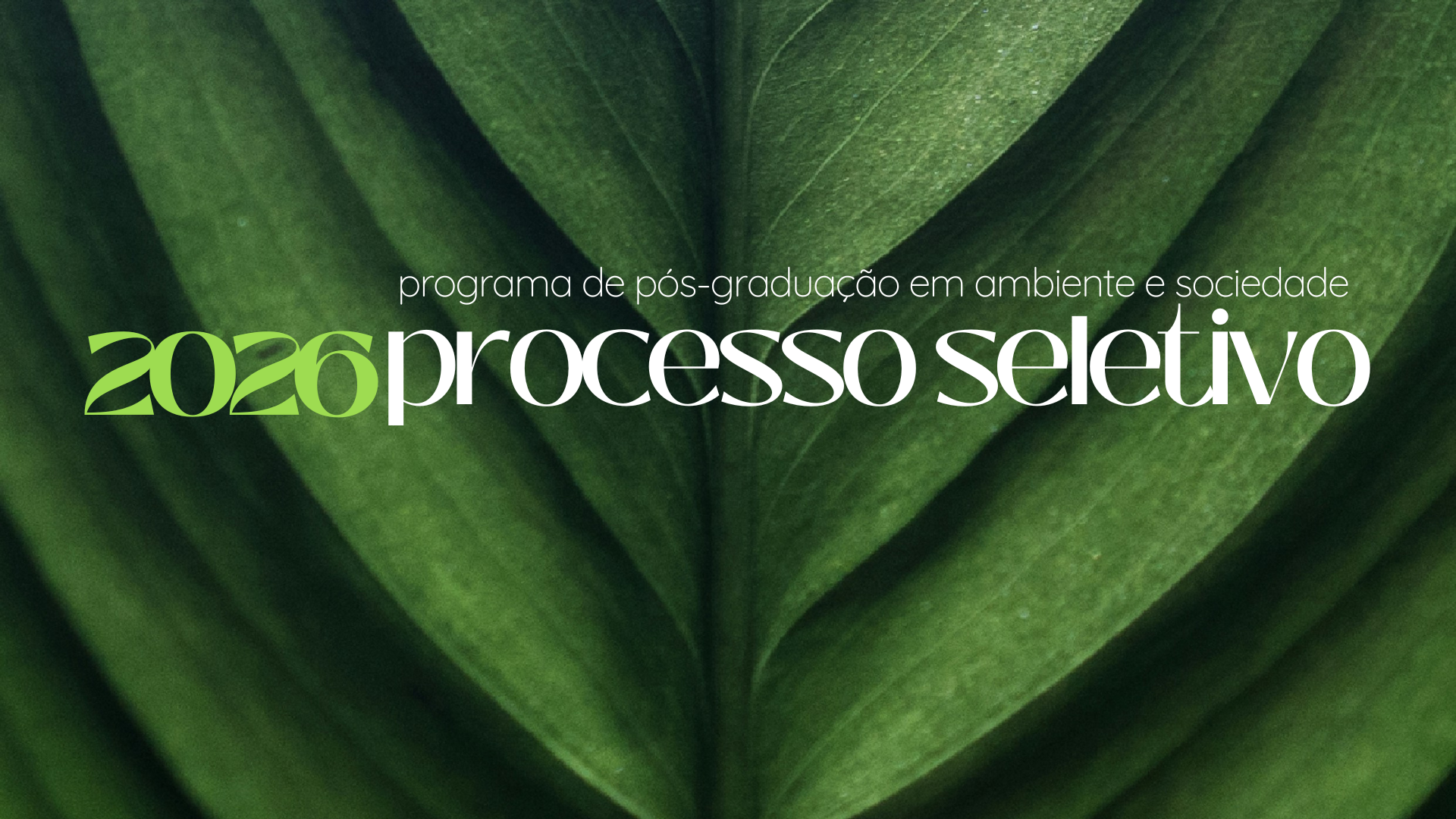 Processo Seletivo 